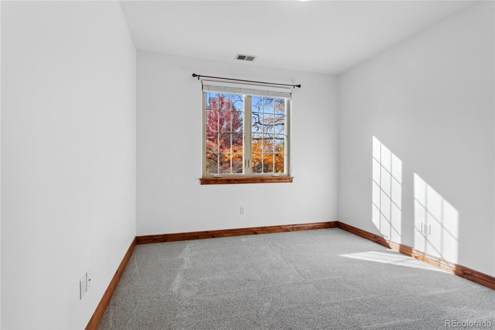 MLS Image #24 for 1770 s corona street,denver, Colorado