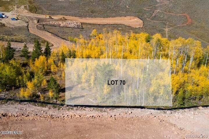 MLS Image #8 for 281  night hawk court,granby, Colorado