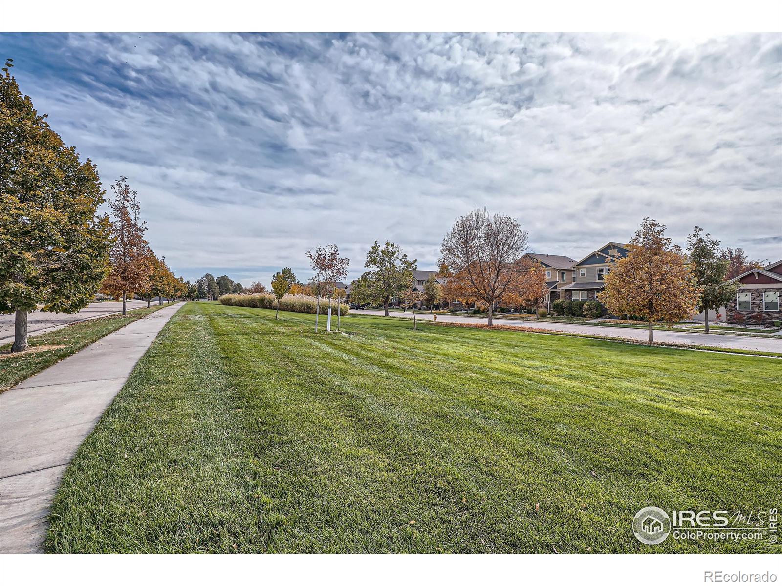 MLS Image #32 for 3108  lower loop drive,fort collins, Colorado