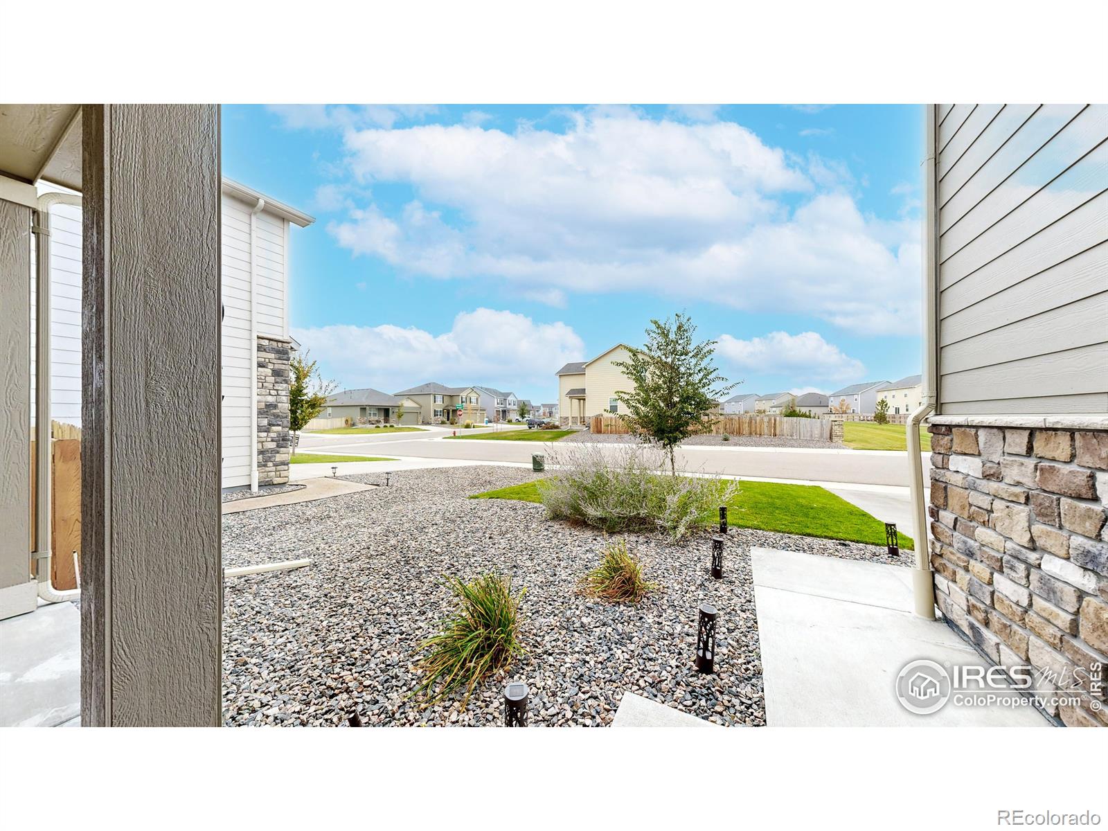 MLS Image #33 for 933  keneally court,windsor, Colorado