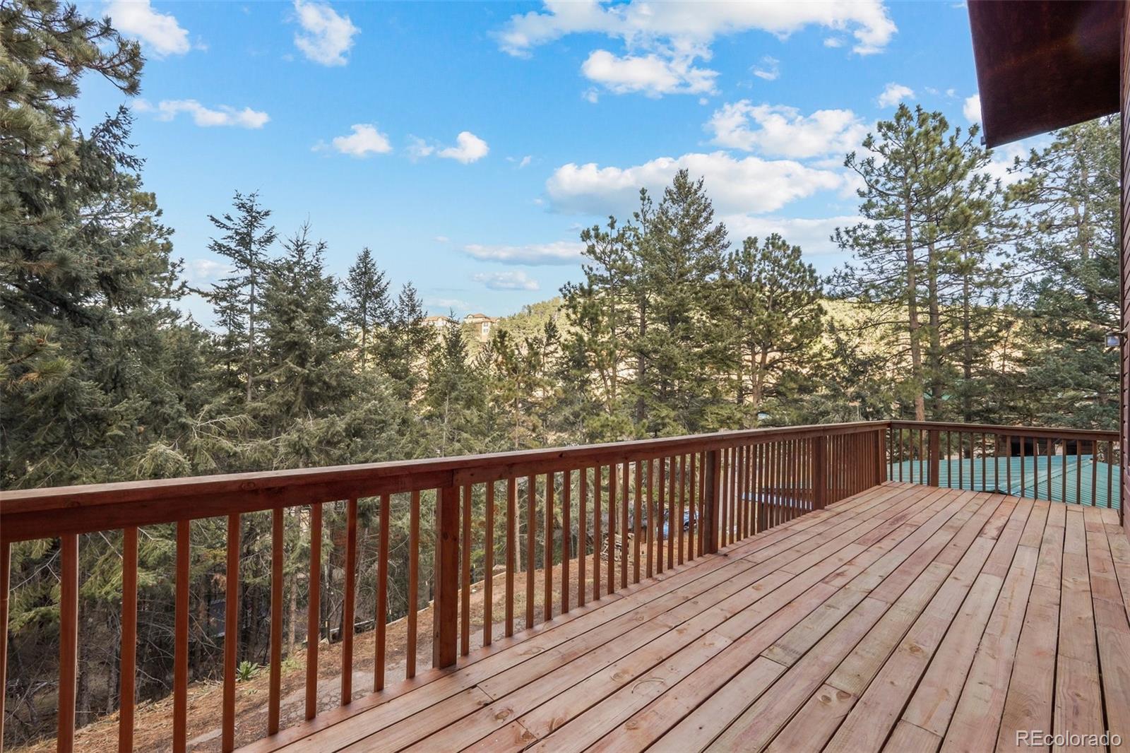 MLS Image #41 for 1097  valley road,evergreen, Colorado