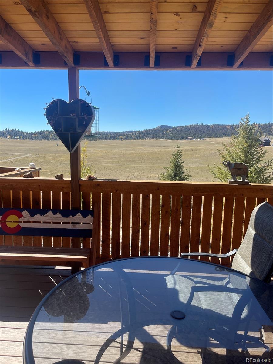 MLS Image #3 for 189  goldenberg canyon road,hartsel, Colorado