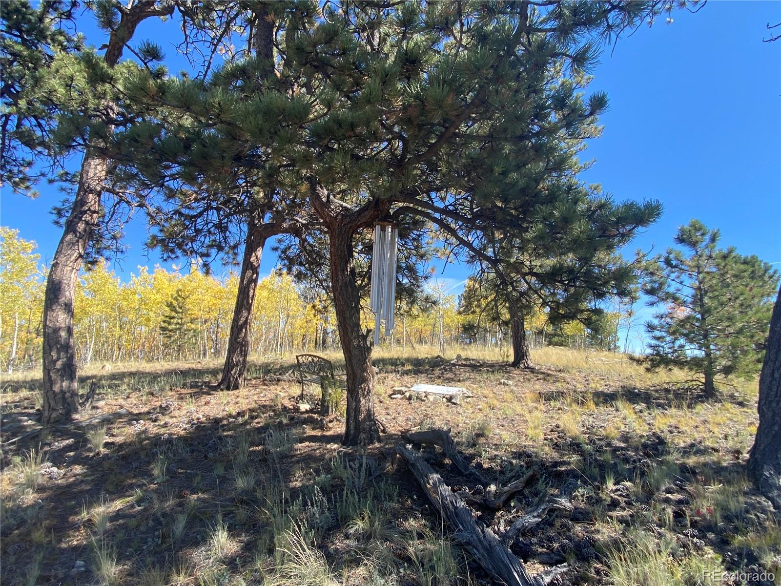 MLS Image #47 for 189  goldenberg canyon road,hartsel, Colorado