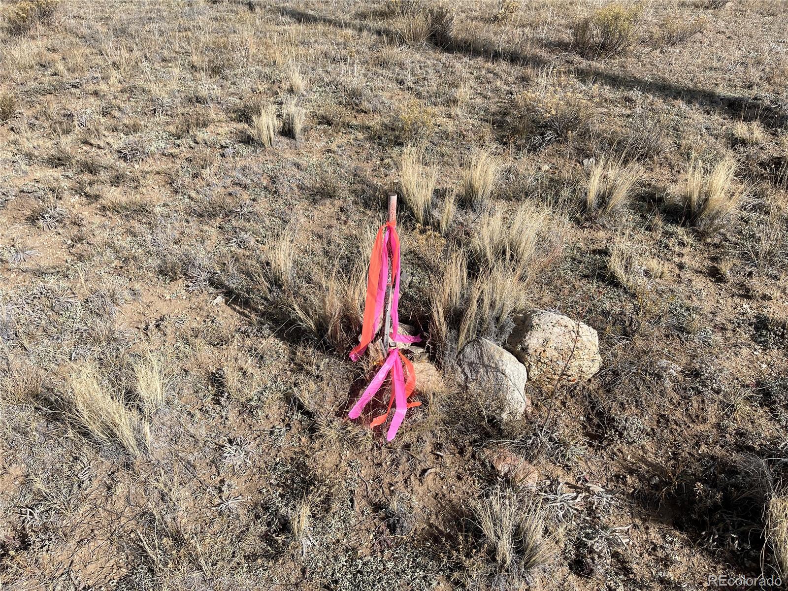MLS Image #48 for 189  goldenberg canyon road,hartsel, Colorado