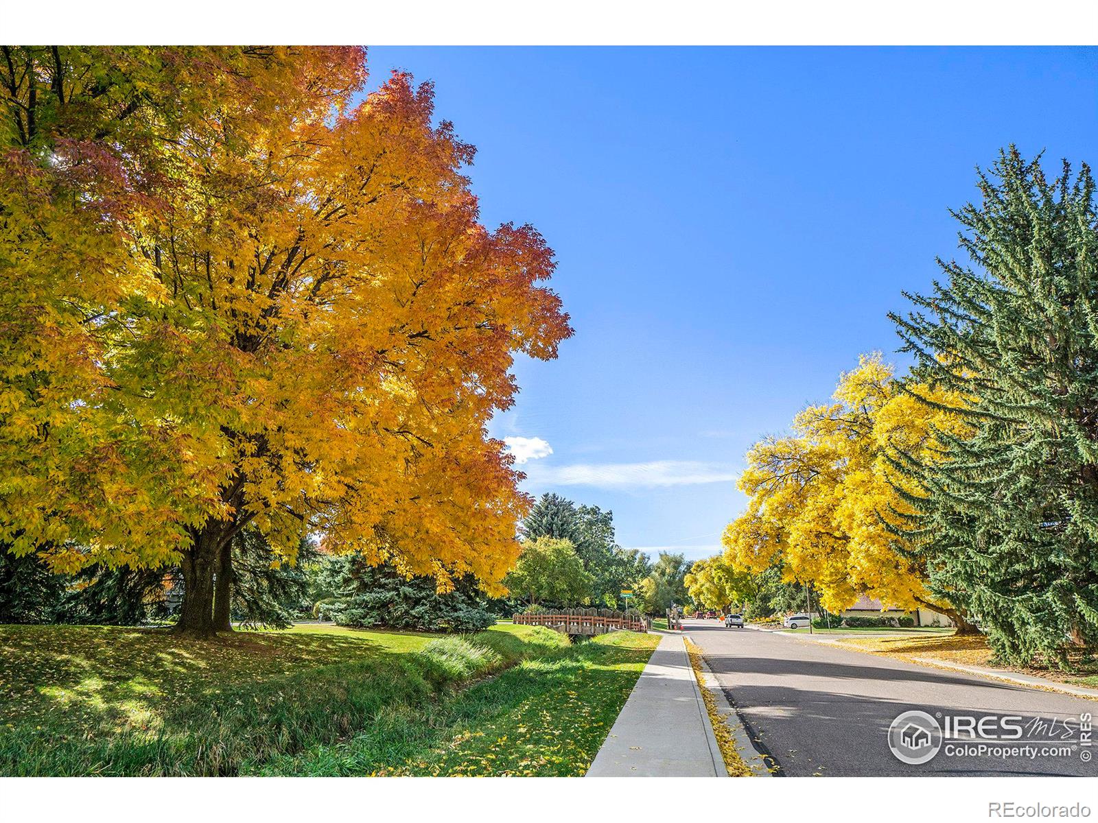 MLS Image #36 for 1908  sequoia street,fort collins, Colorado