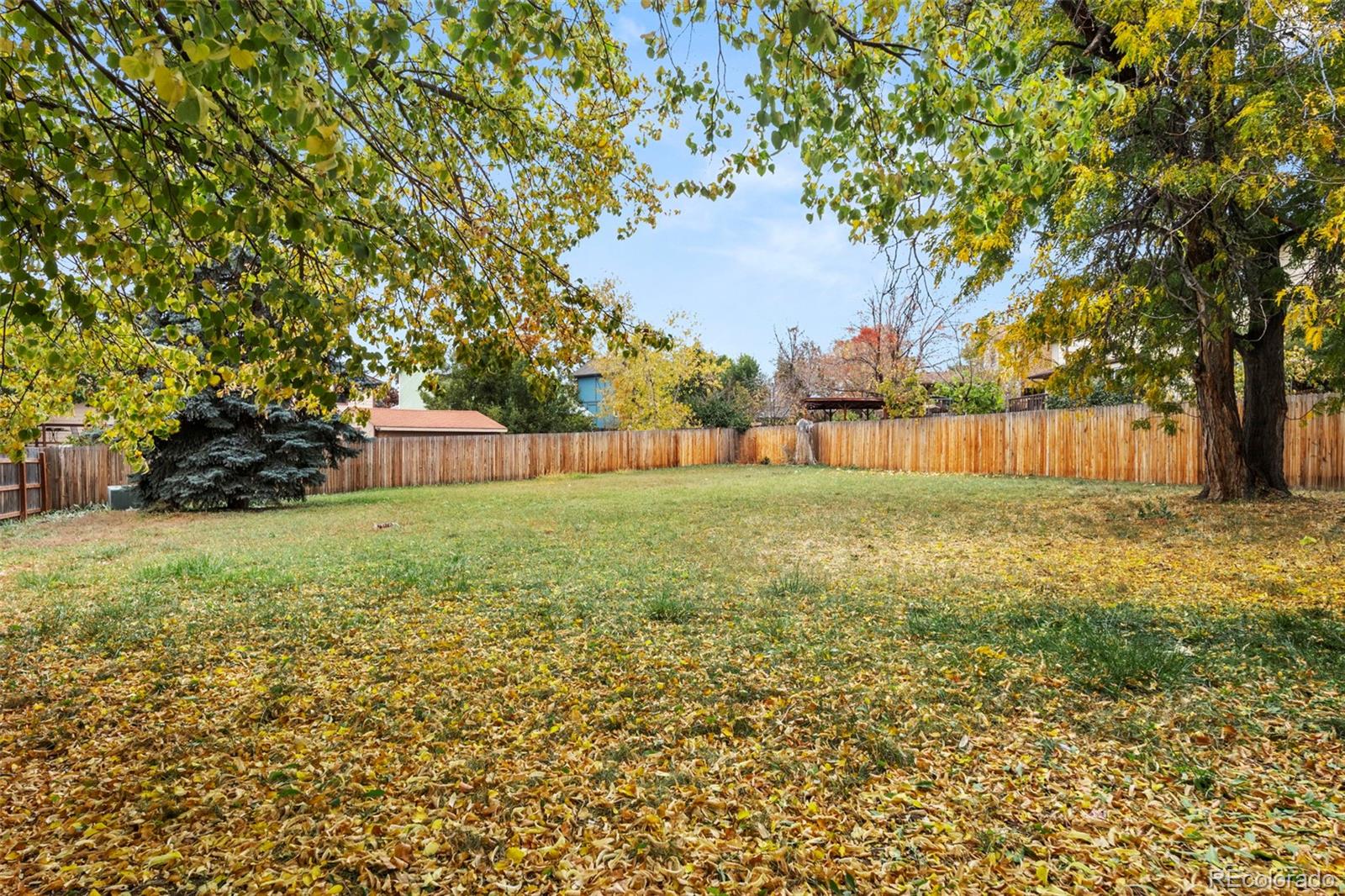 MLS Image #6 for 8879  winona court,westminster, Colorado