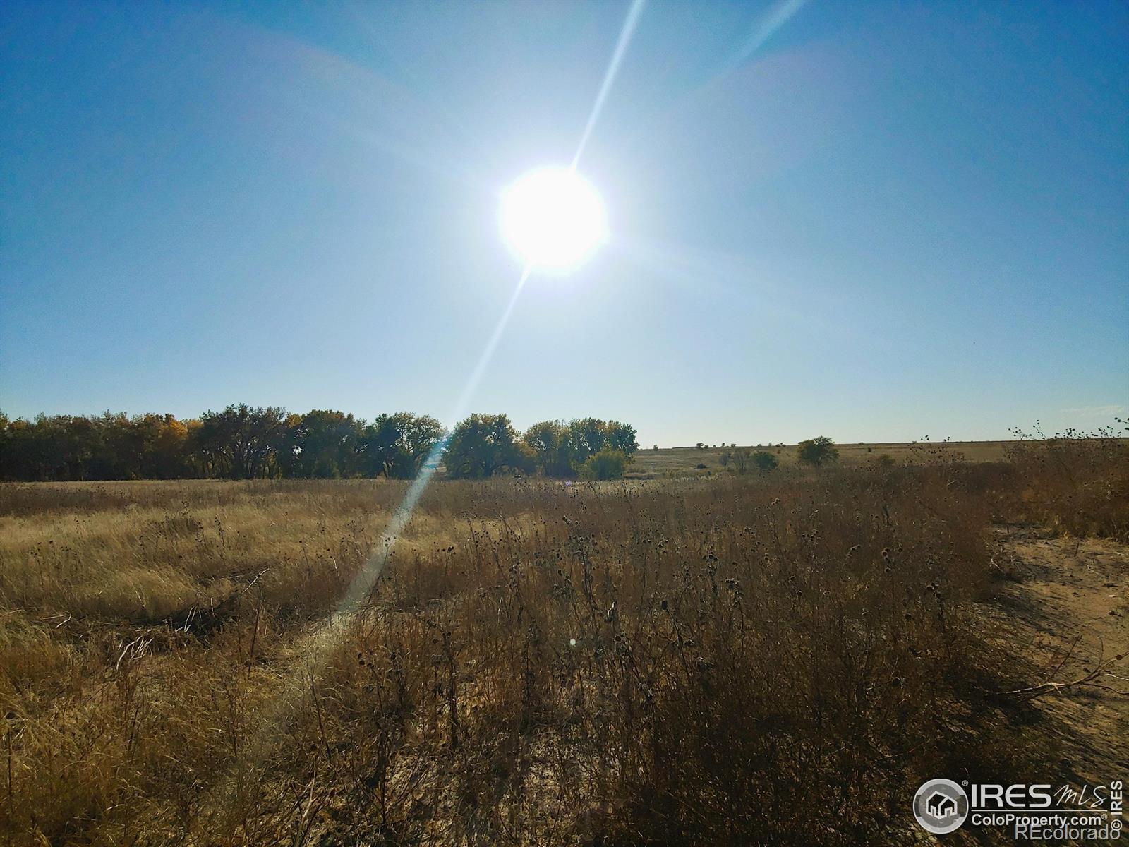 MLS Image #26 for 28605  county road 71 ,crook, Colorado