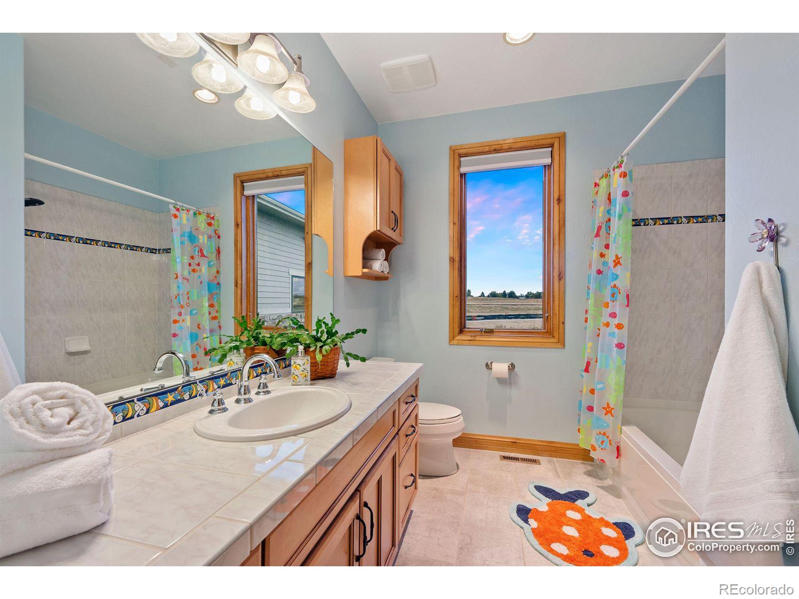 MLS Image #33 for 14129  old cottonwood street,broomfield, Colorado