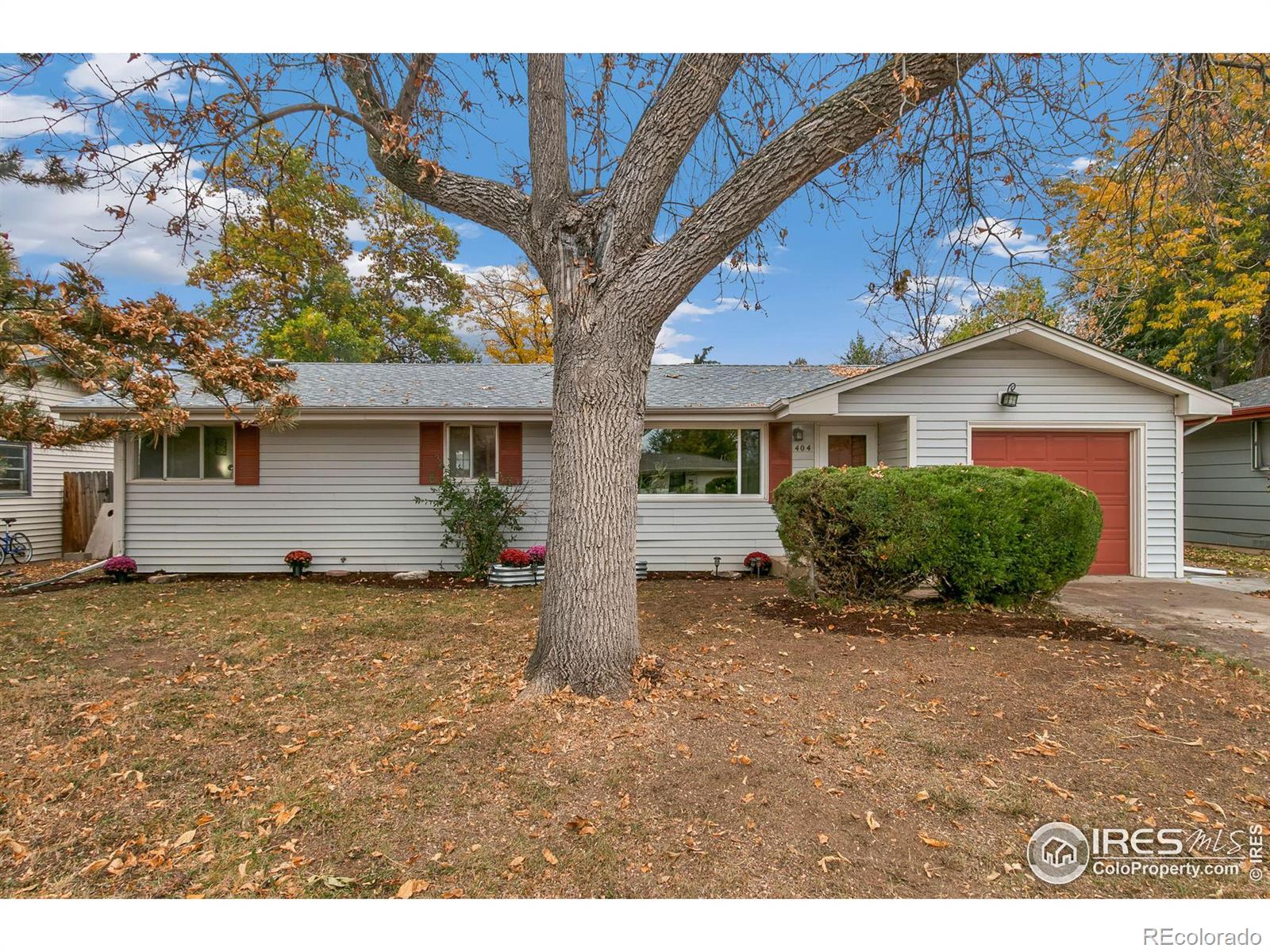 Report Image for 404  Tedmon Drive,Fort Collins, Colorado