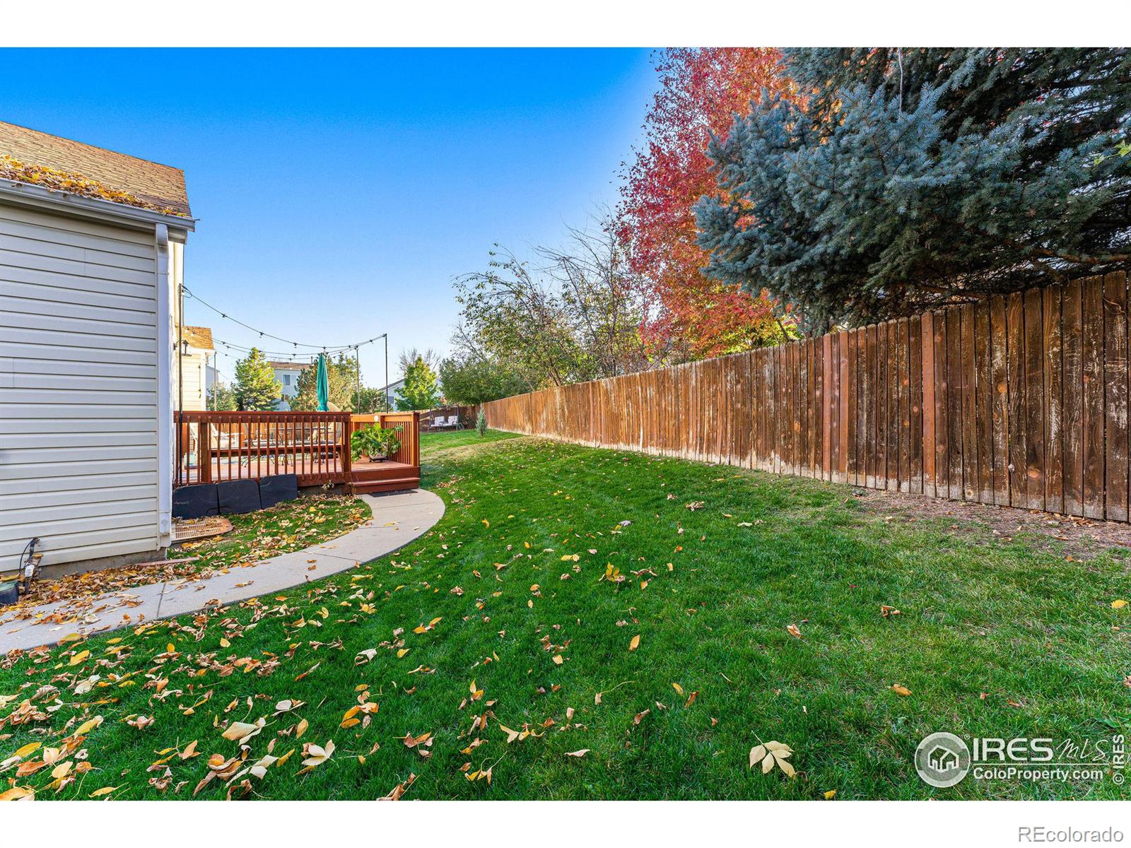 MLS Image #35 for 3647  clover creek lane,longmont, Colorado