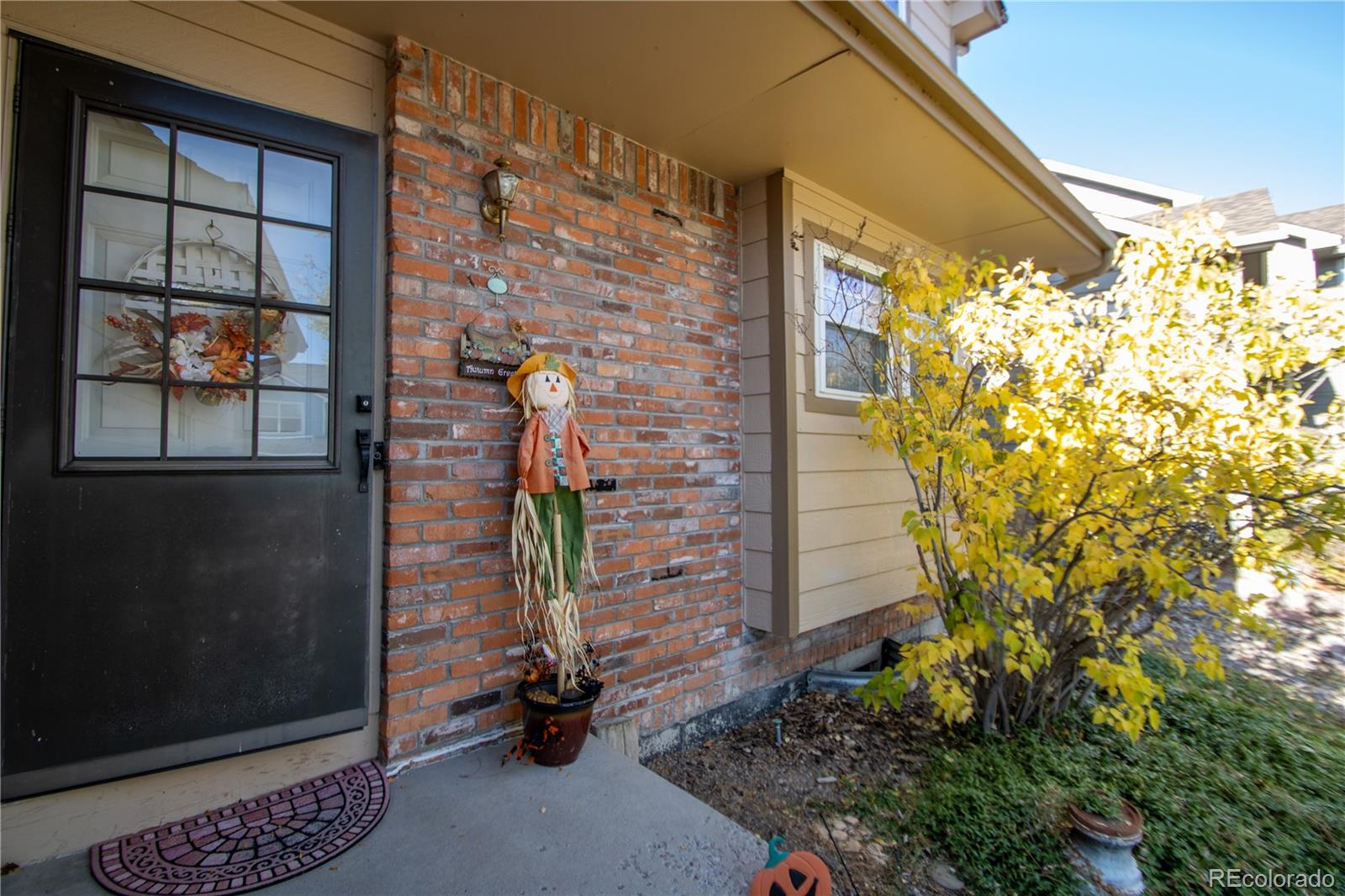 MLS Image #1 for 4955 e ashton avenue,castle rock, Colorado