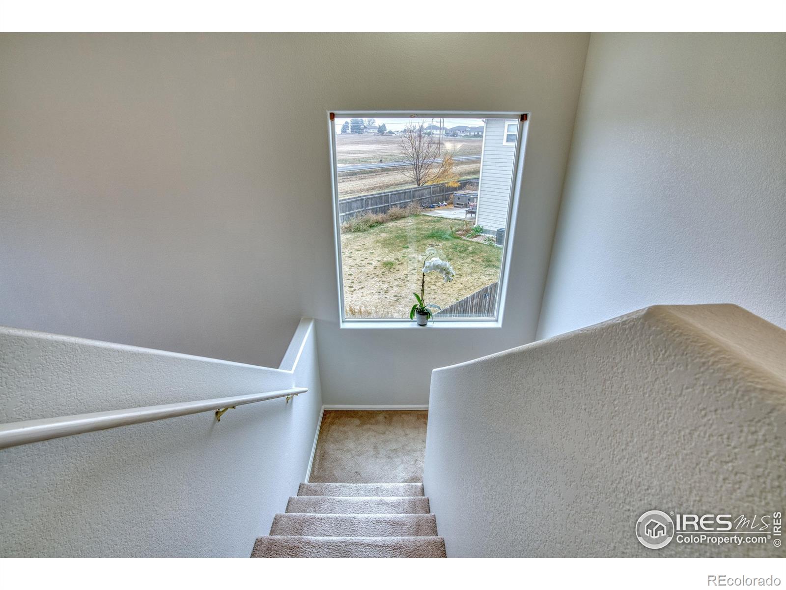 MLS Image #14 for 1604  84th avenue,greeley, Colorado