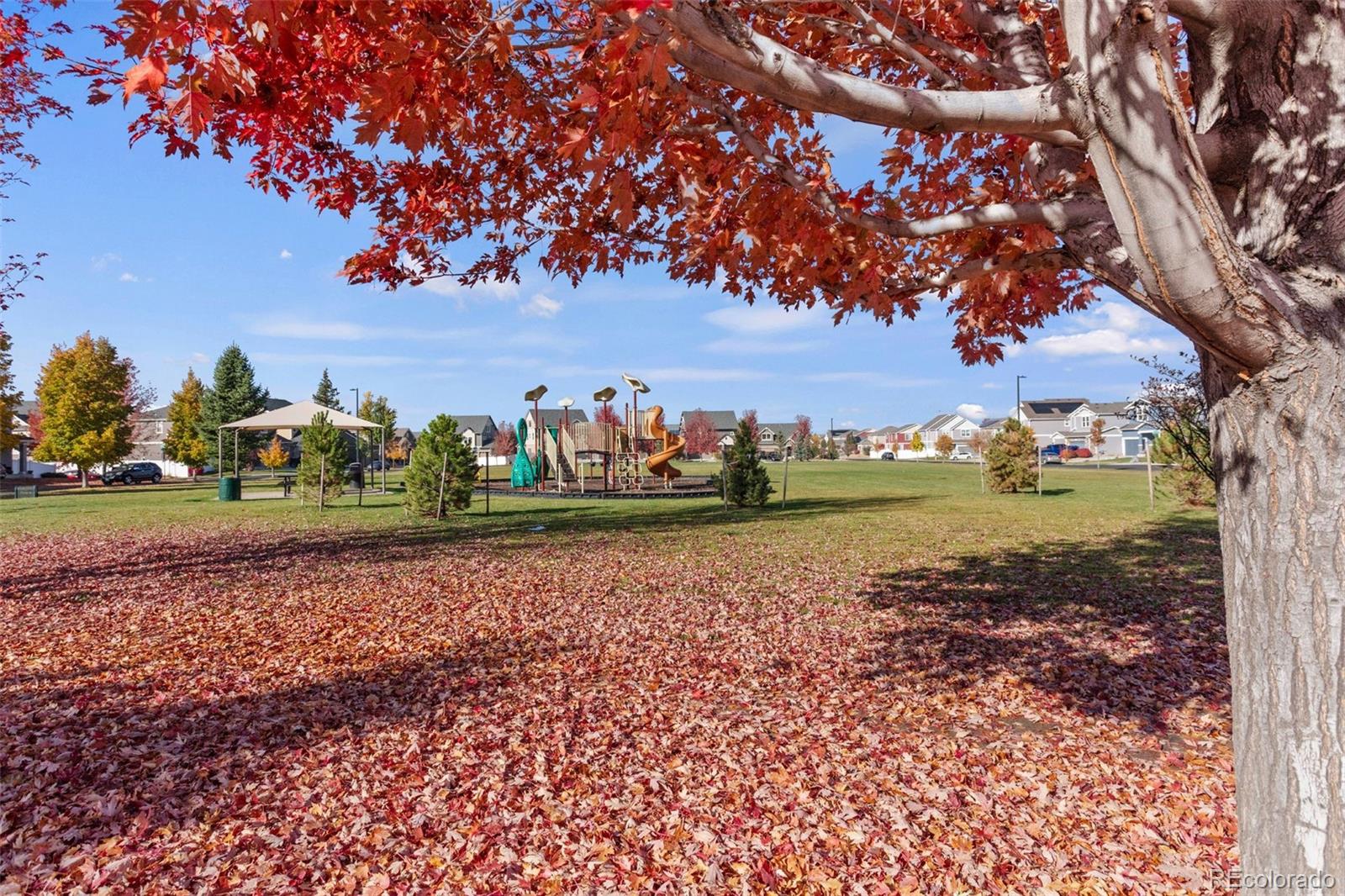 MLS Image #29 for 5345  lisbon street,denver, Colorado