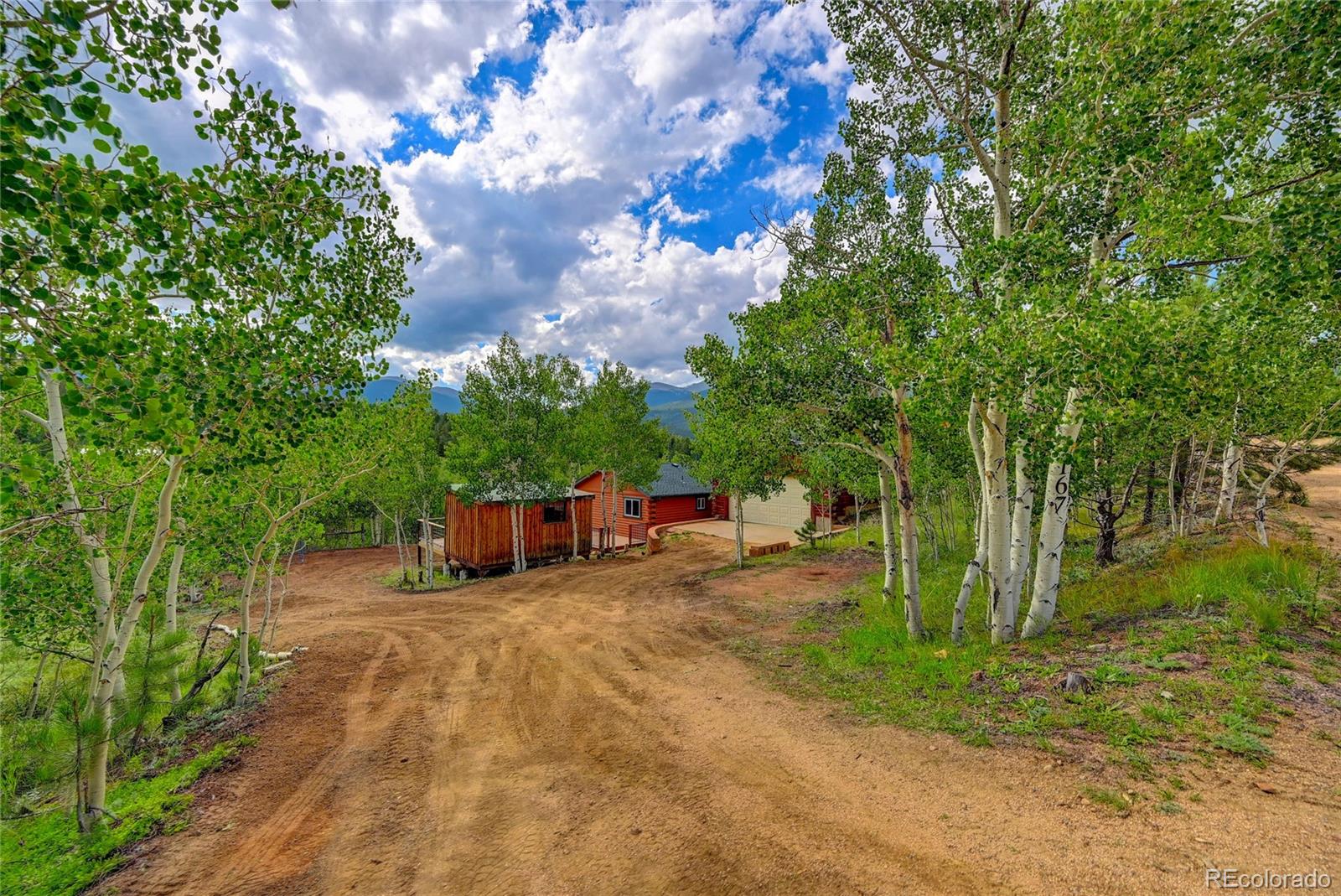 MLS Image #16 for 167  gold flake terrace,bailey, Colorado