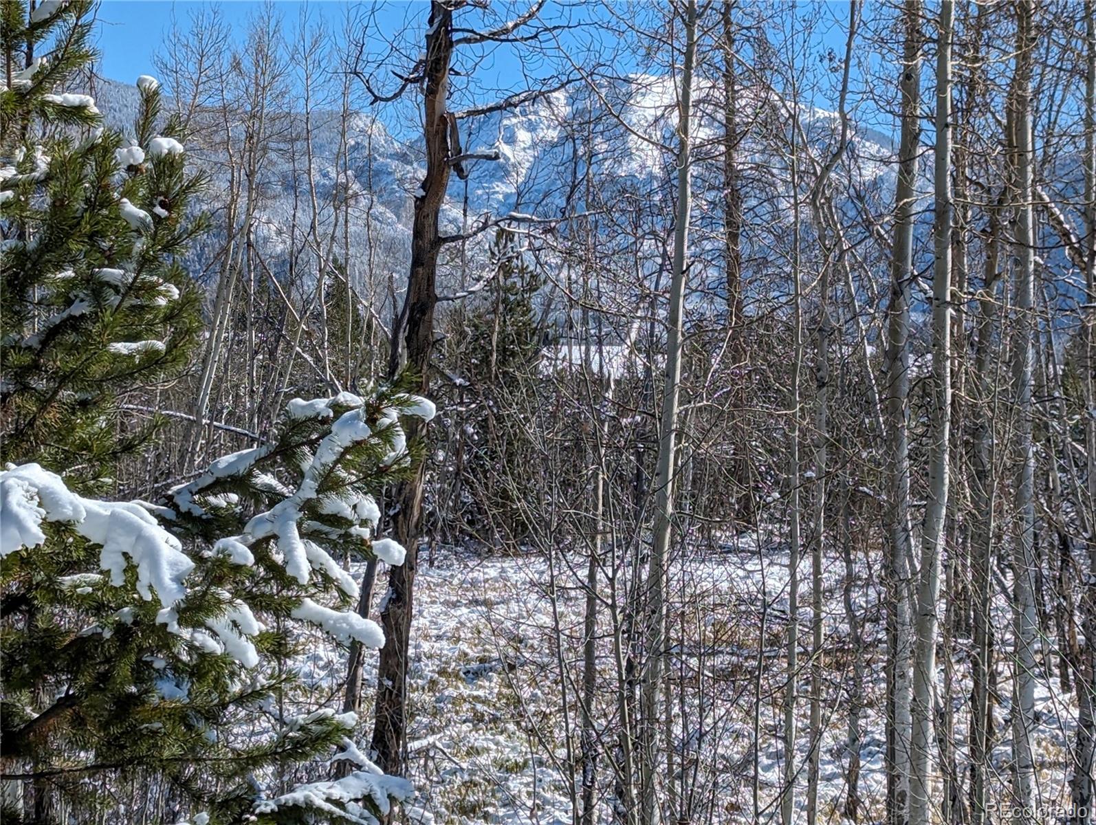 MLS Image #20 for 76  gcr 480 ,grand lake, Colorado