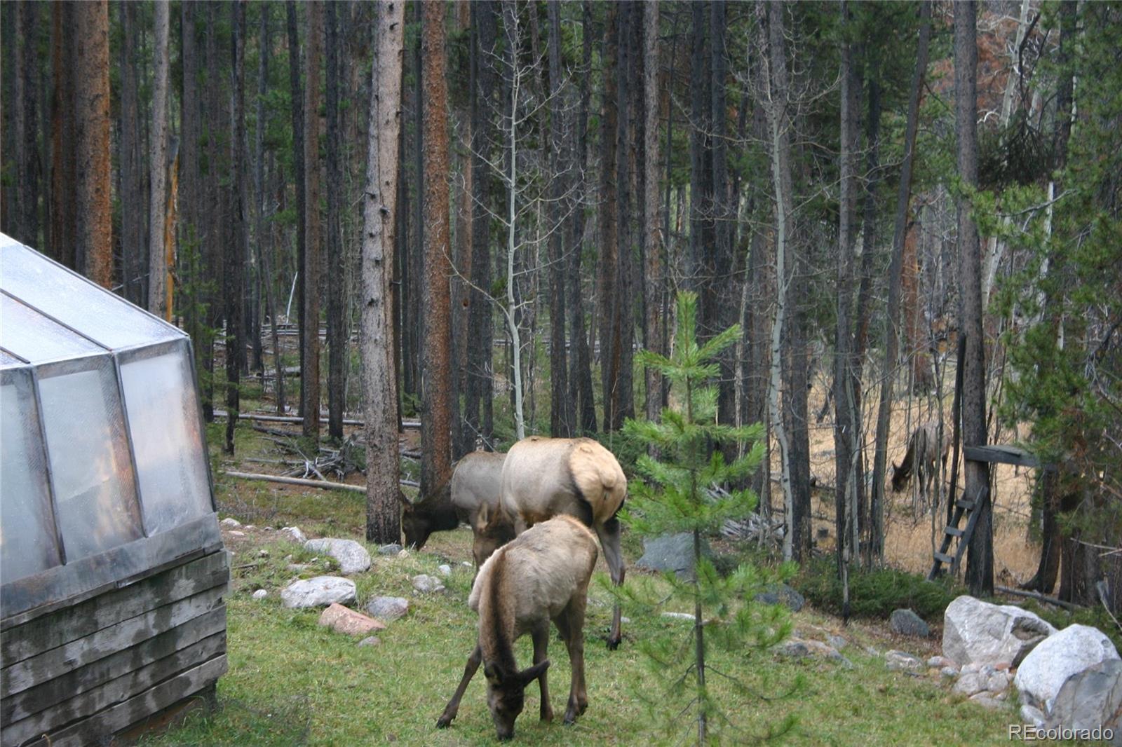 MLS Image #24 for 76  gcr 480 ,grand lake, Colorado