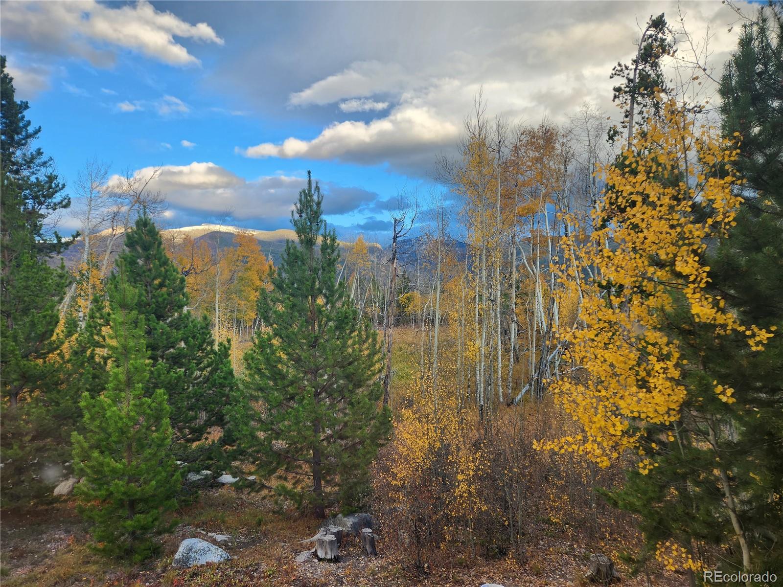 MLS Image #4 for 76  gcr 480 ,grand lake, Colorado