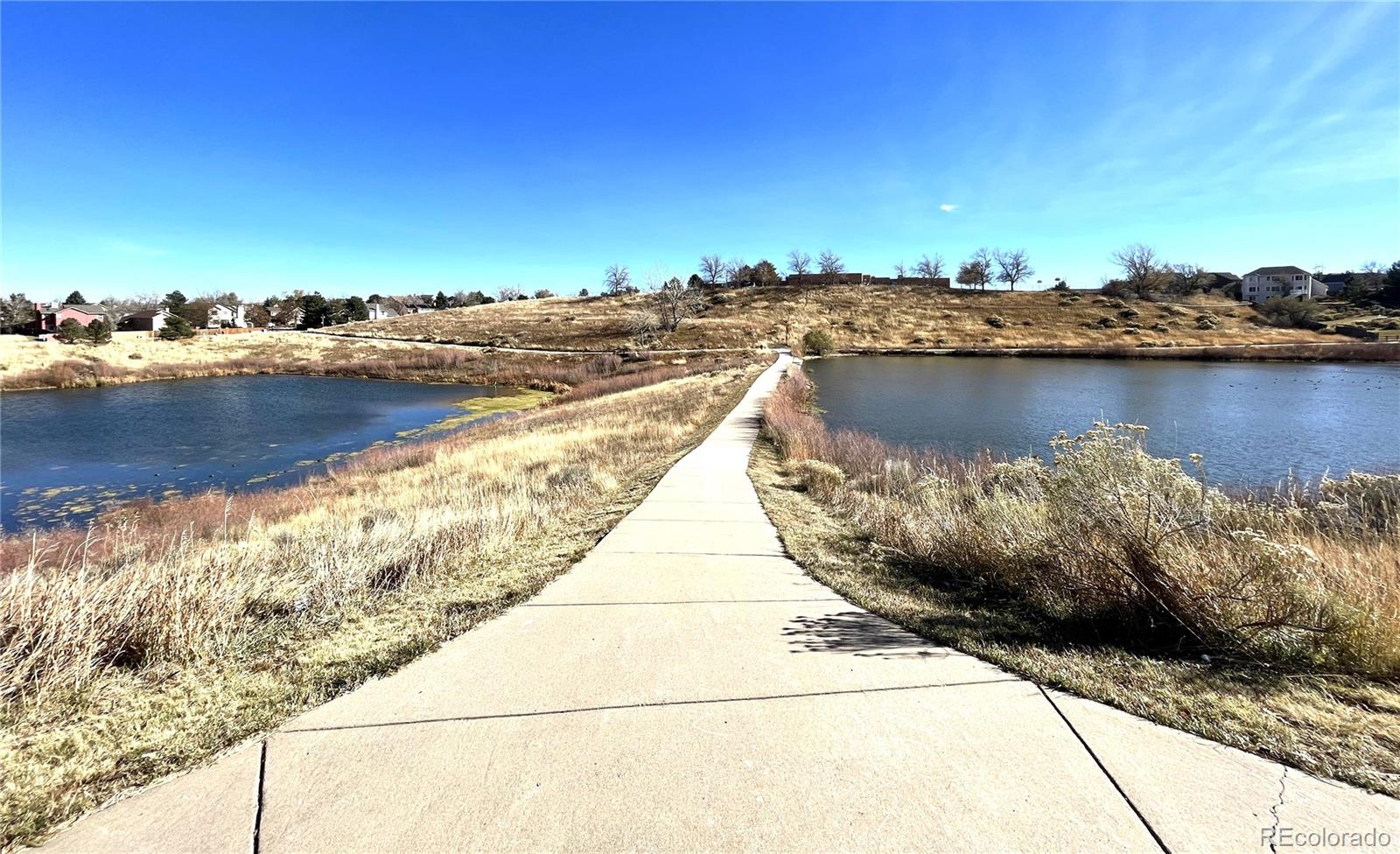 MLS Image #28 for 7878  canvasback circle,littleton, Colorado