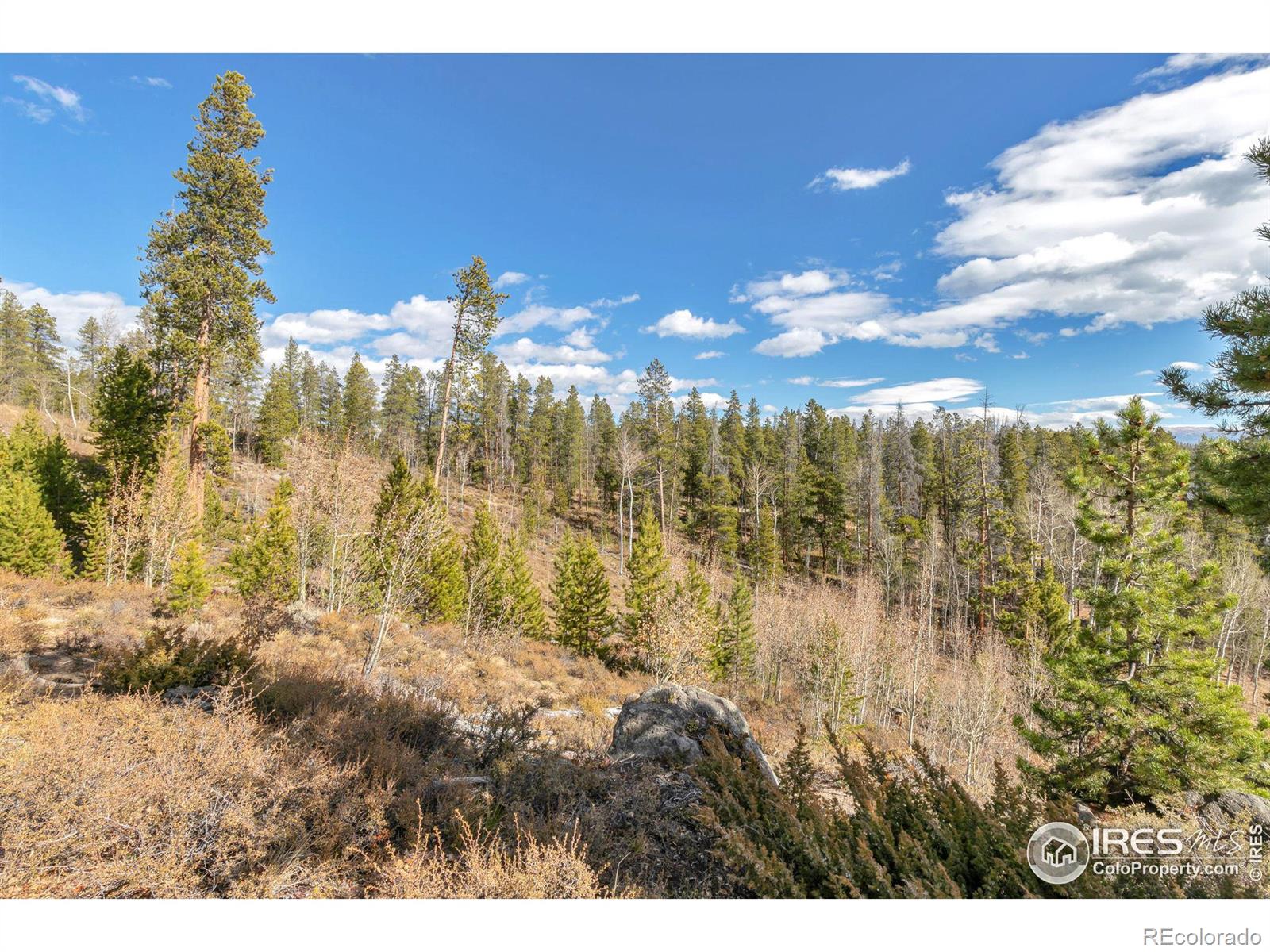 MLS Image #34 for 186  lynx lane,tabernash, Colorado