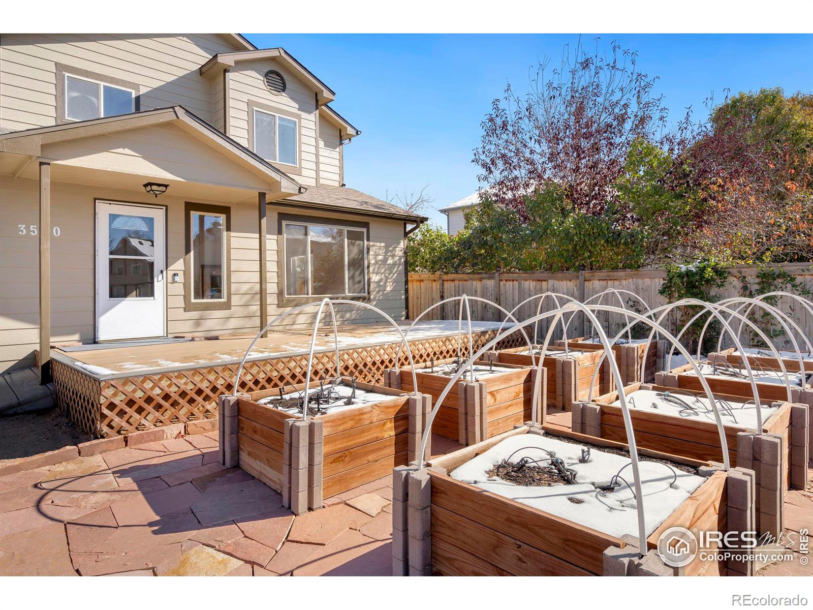 MLS Image #2 for 3520  omaha court,fort collins, Colorado