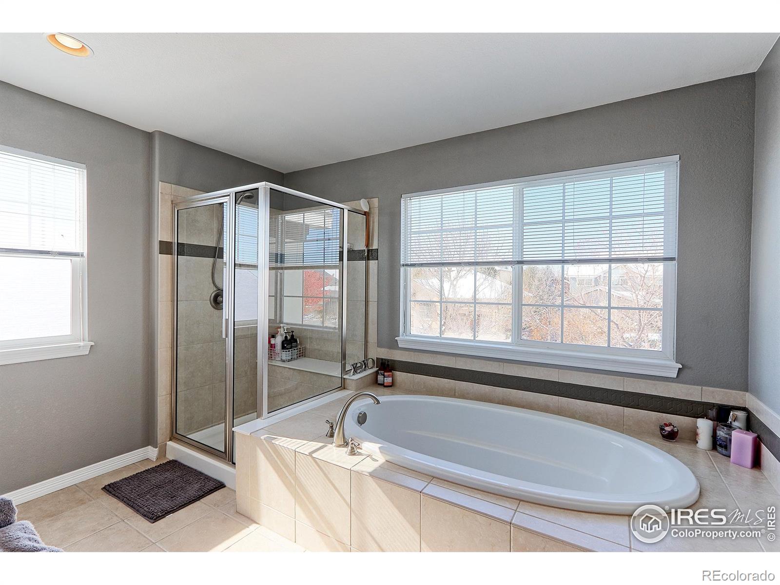 MLS Image #17 for 13408  king lake trail,broomfield, Colorado