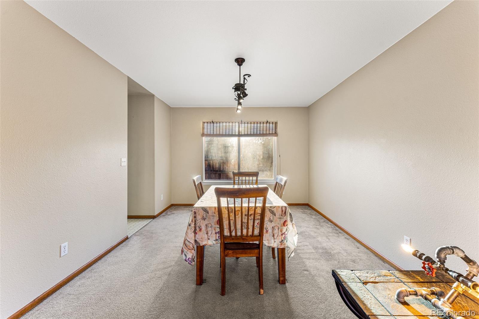 MLS Image #13 for 247 s lindsey street,castle rock, Colorado