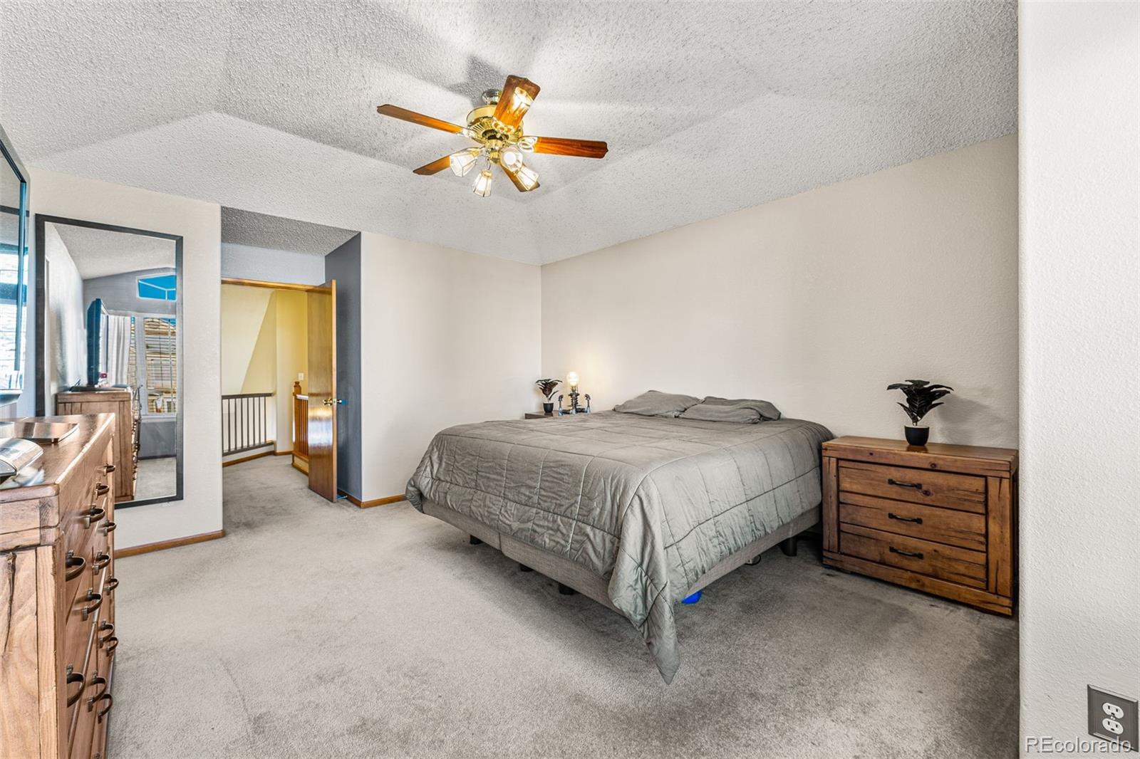 MLS Image #19 for 247 s lindsey street,castle rock, Colorado