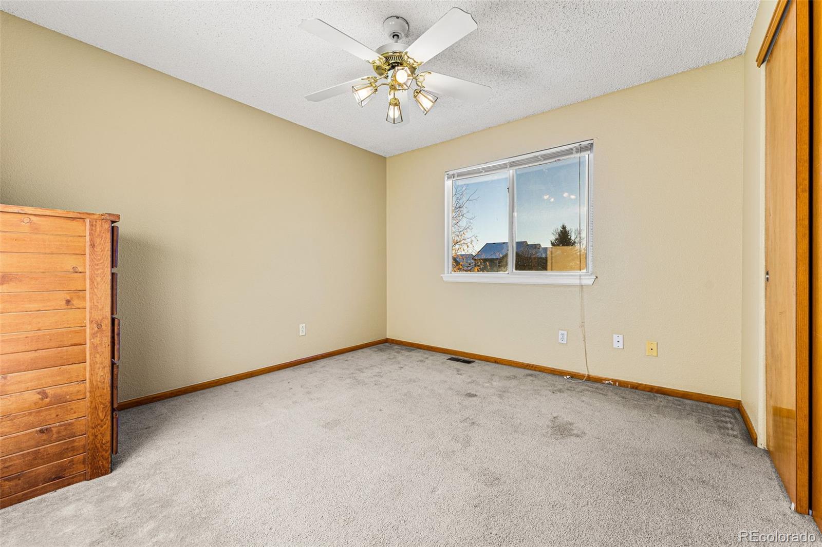 MLS Image #26 for 247 s lindsey street,castle rock, Colorado