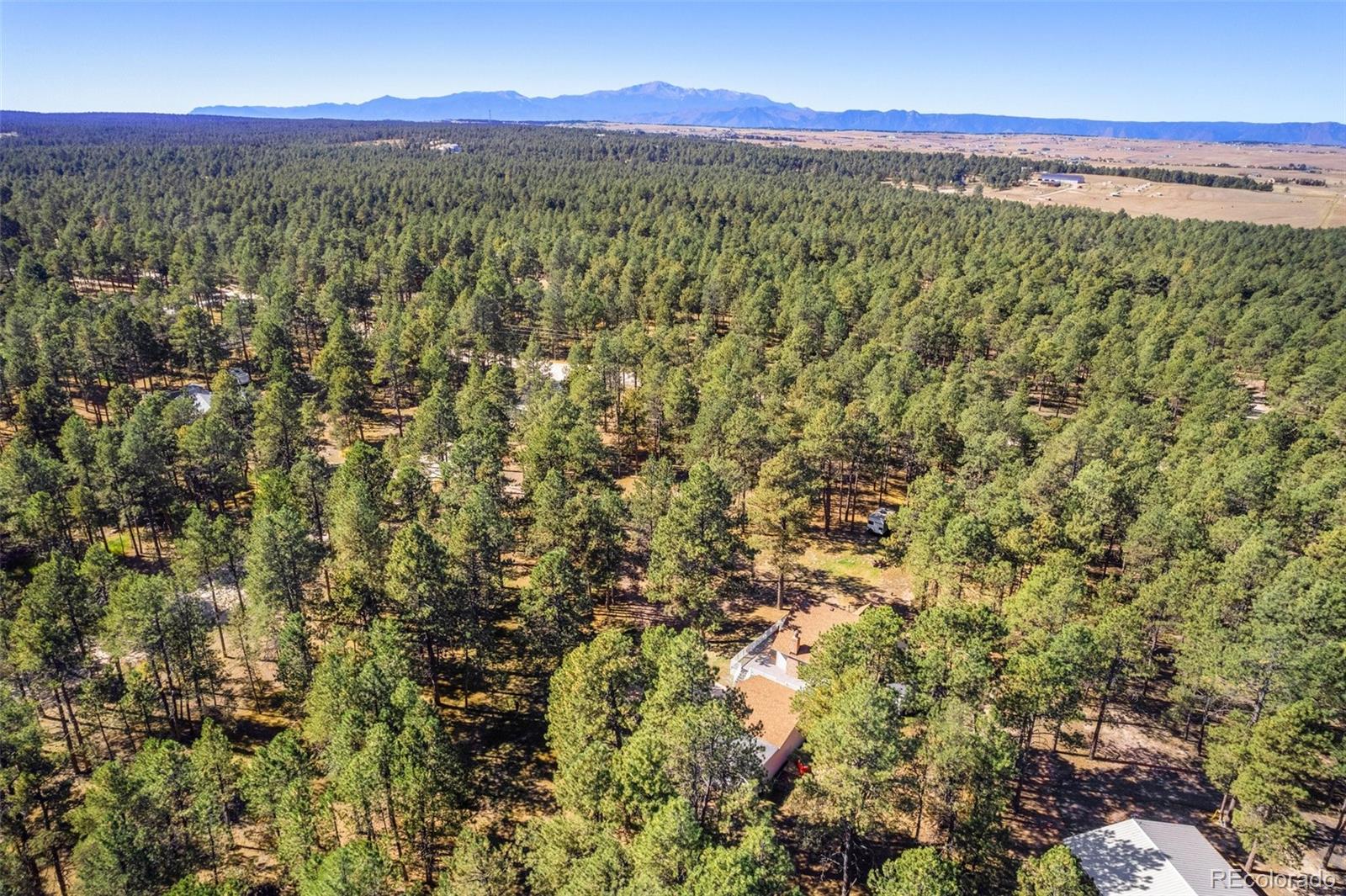 MLS Image #3 for 9720  hardy road,colorado springs, Colorado