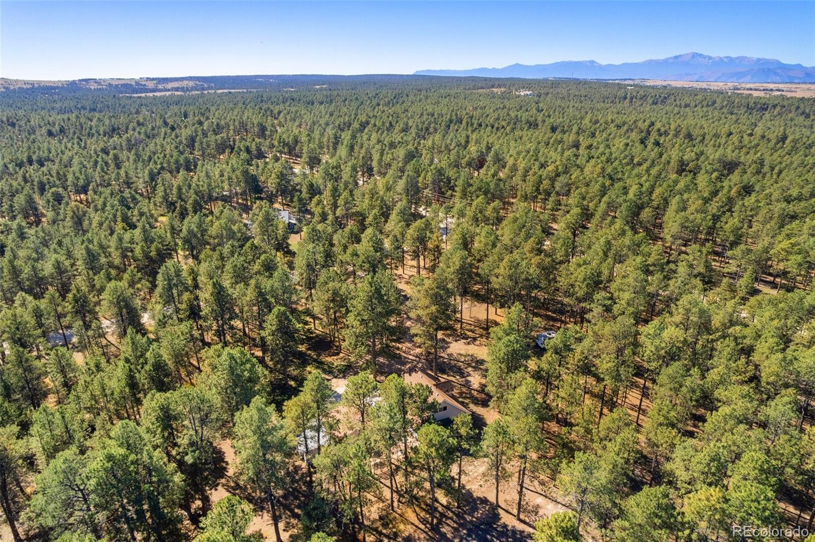 MLS Image #4 for 9720  hardy road,colorado springs, Colorado