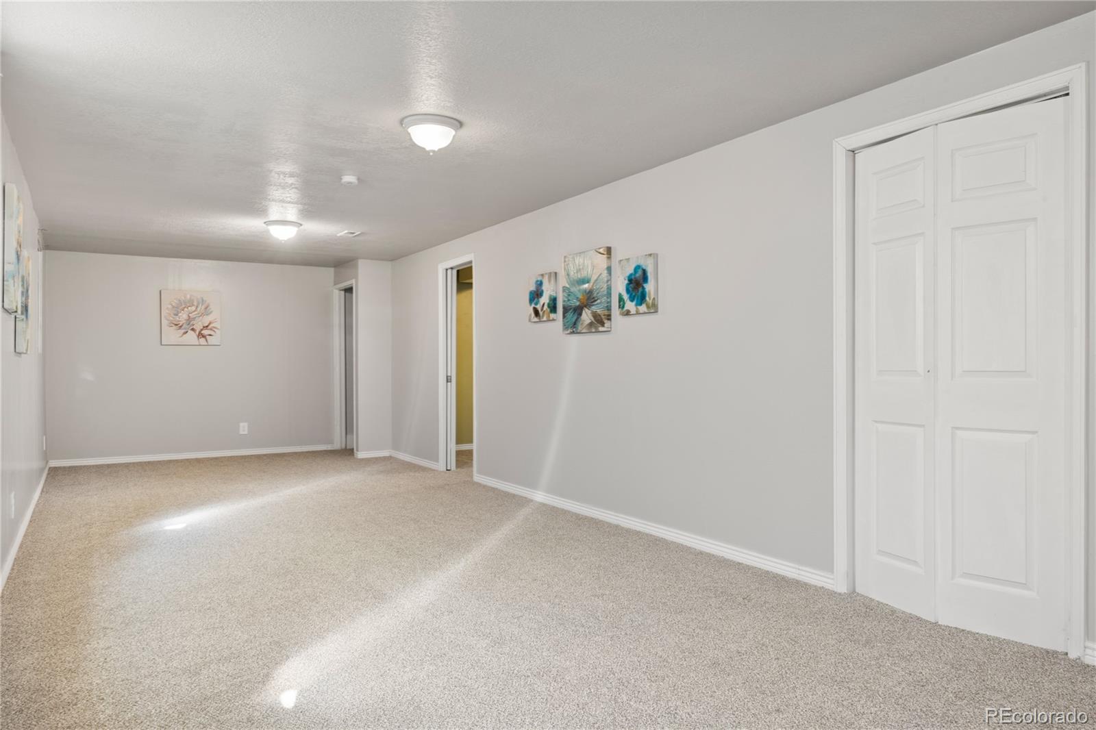 MLS Image #11 for 1039  mt werner circle,colorado springs, Colorado