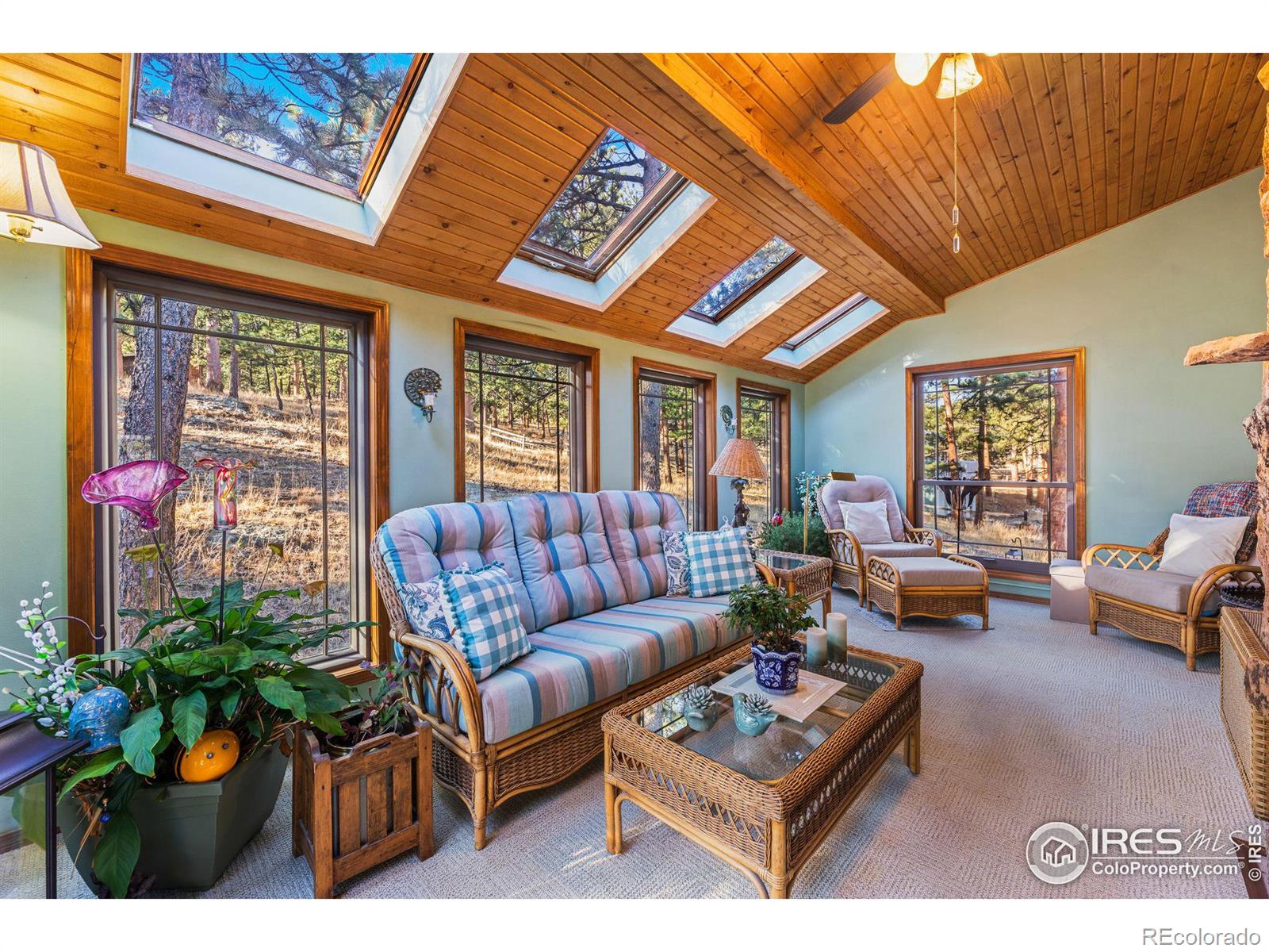 MLS Image #18 for 1220  broadview road,estes park, Colorado