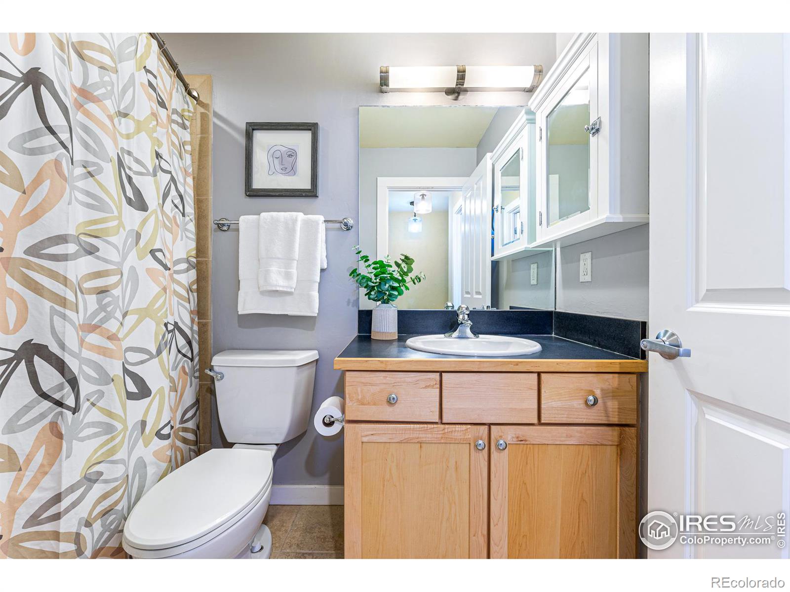 MLS Image #15 for 3210  iron forge place,boulder, Colorado