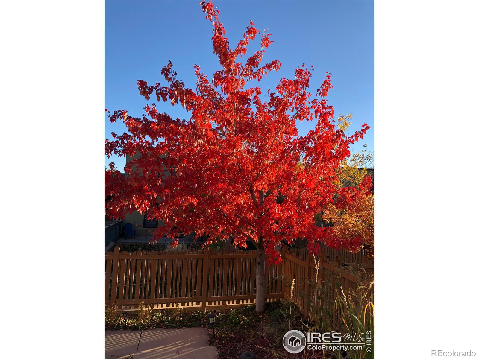 MLS Image #19 for 3210  iron forge place,boulder, Colorado