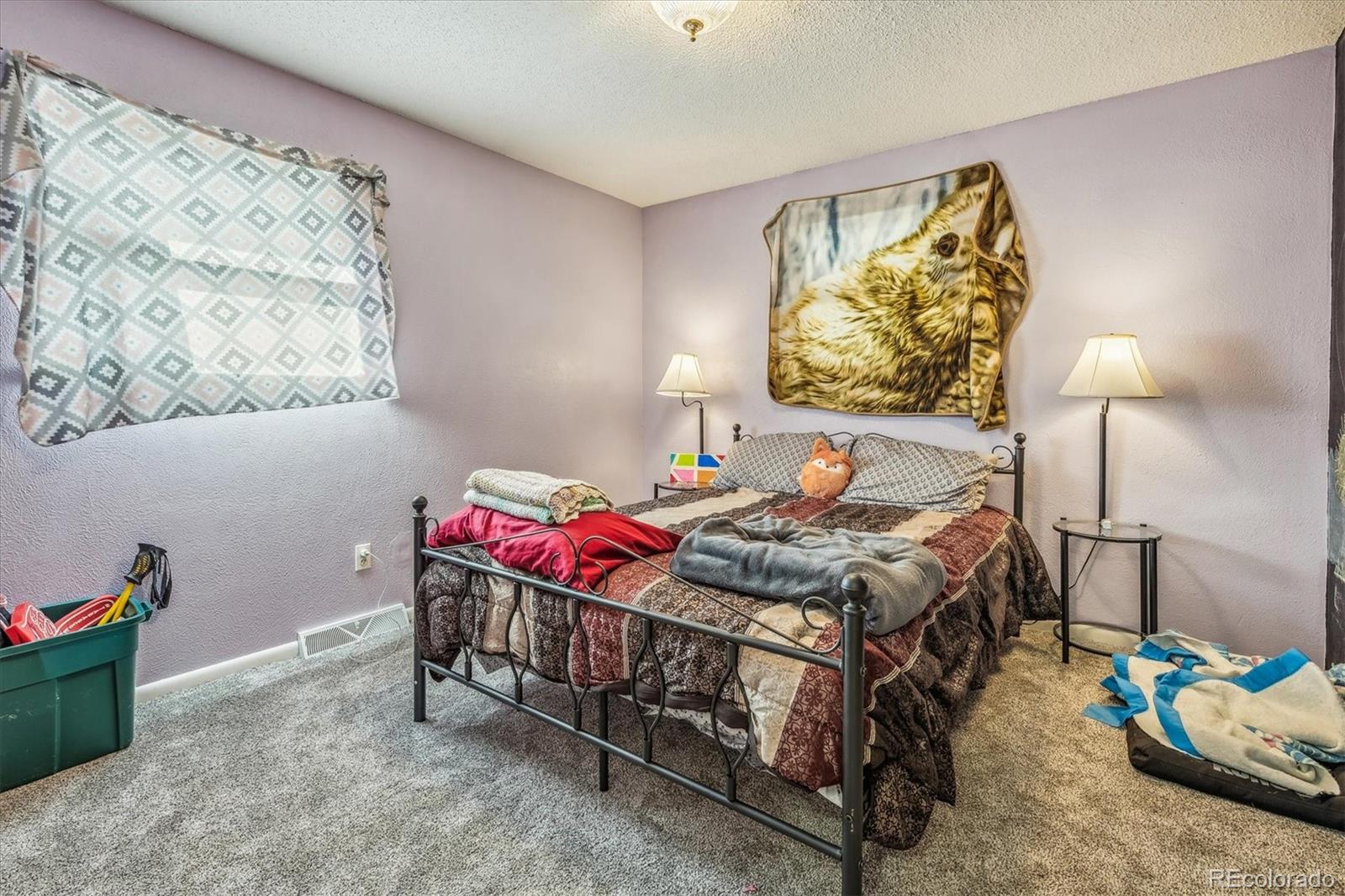 MLS Image #6 for 319 s 4th street,la salle, Colorado