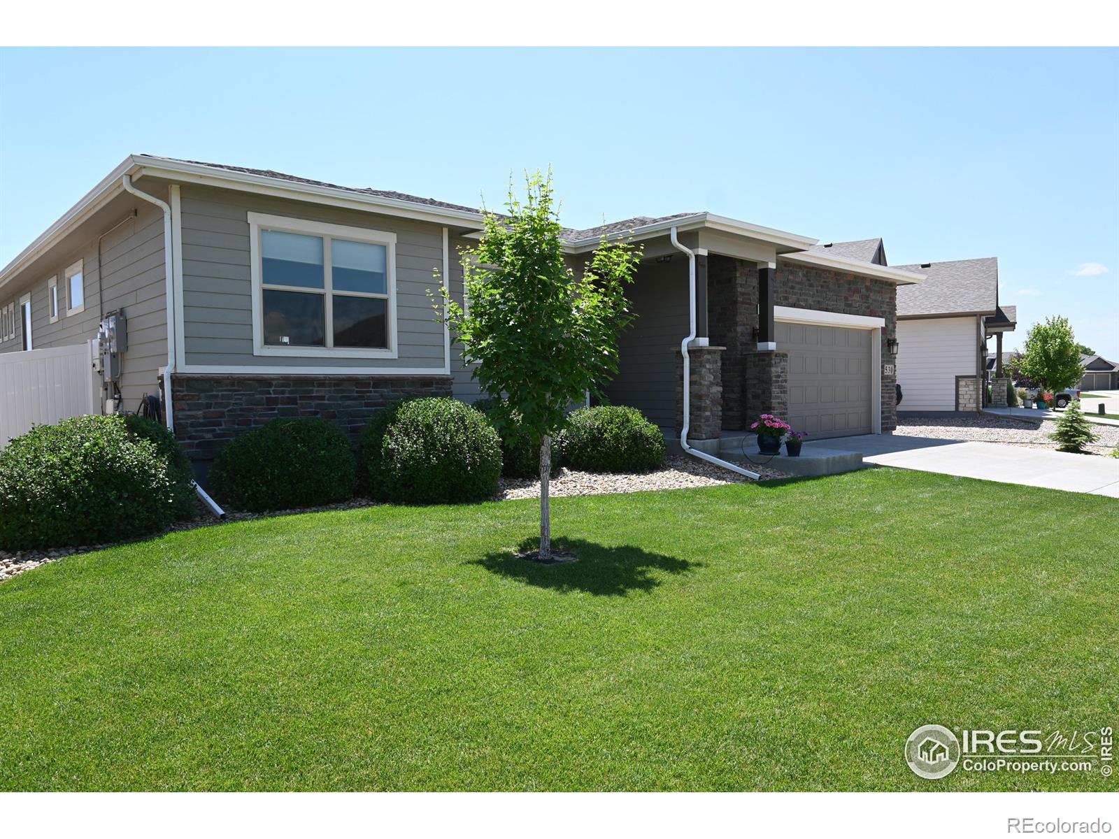 CMA Image for 530  Vermilion Peak Drive,Windsor, Colorado