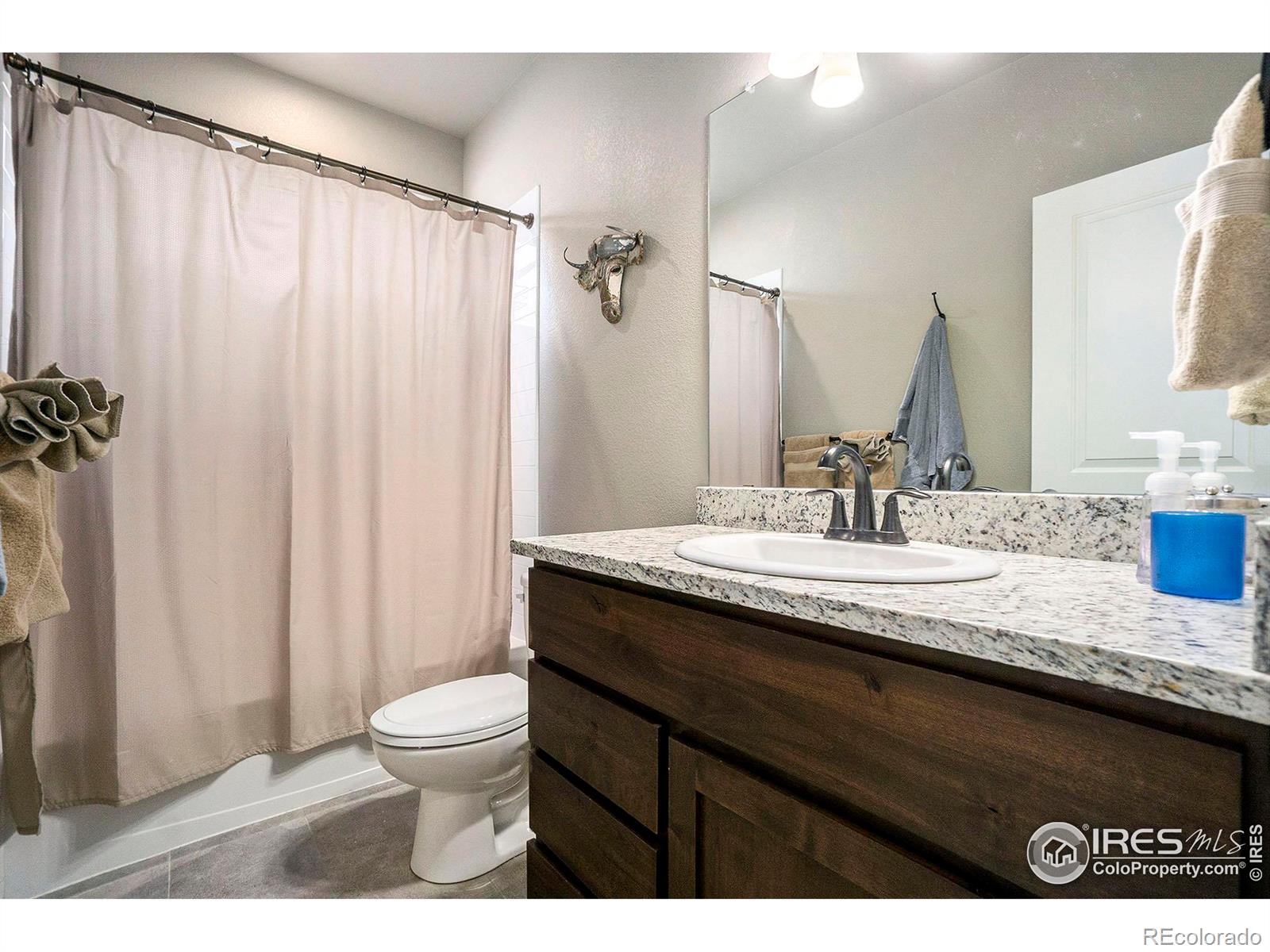 MLS Image #23 for 530  vermilion peak drive,windsor, Colorado