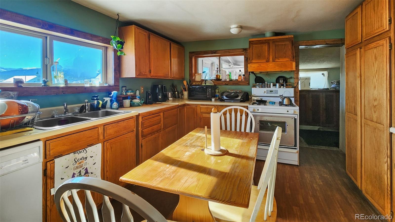 MLS Image #9 for 490  5th street,fairplay, Colorado