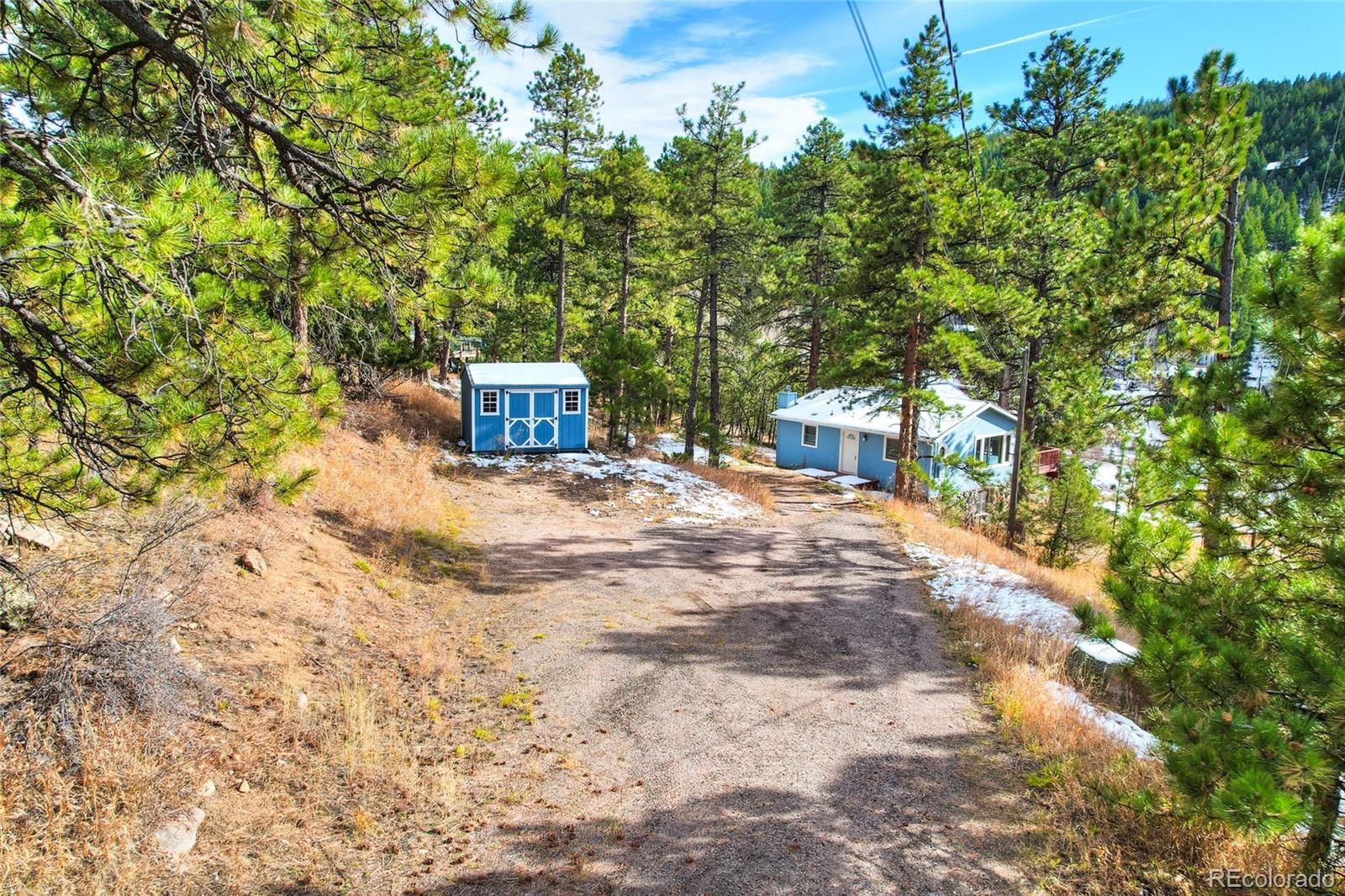MLS Image #10 for 26119  edelweiss circle,evergreen, Colorado