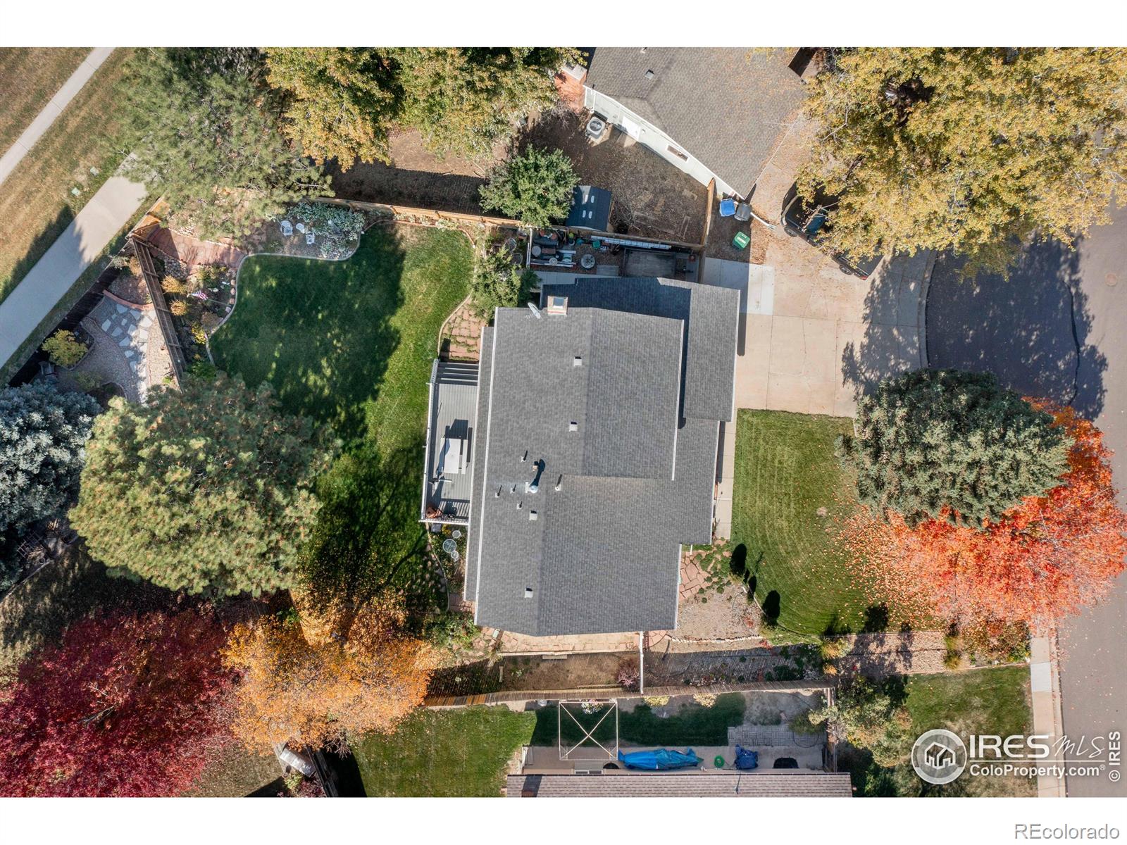 MLS Image #6 for 155  baylor way,longmont, Colorado