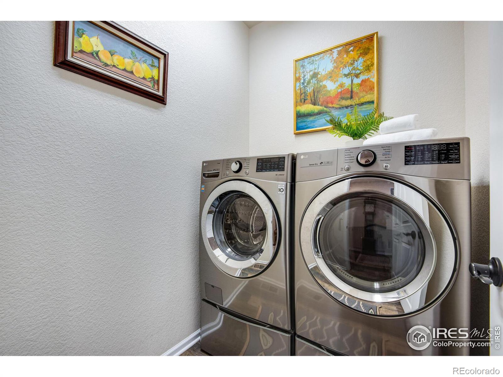 MLS Image #13 for 12646  eagle river road,firestone, Colorado