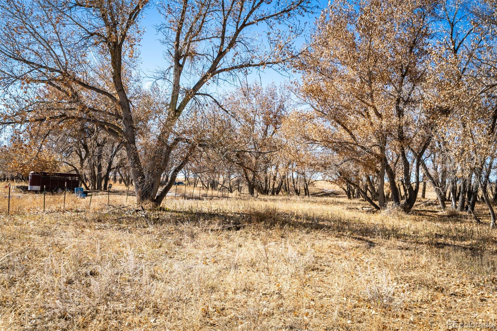 MLS Image #45 for 3150 s county road 185 ,byers, Colorado