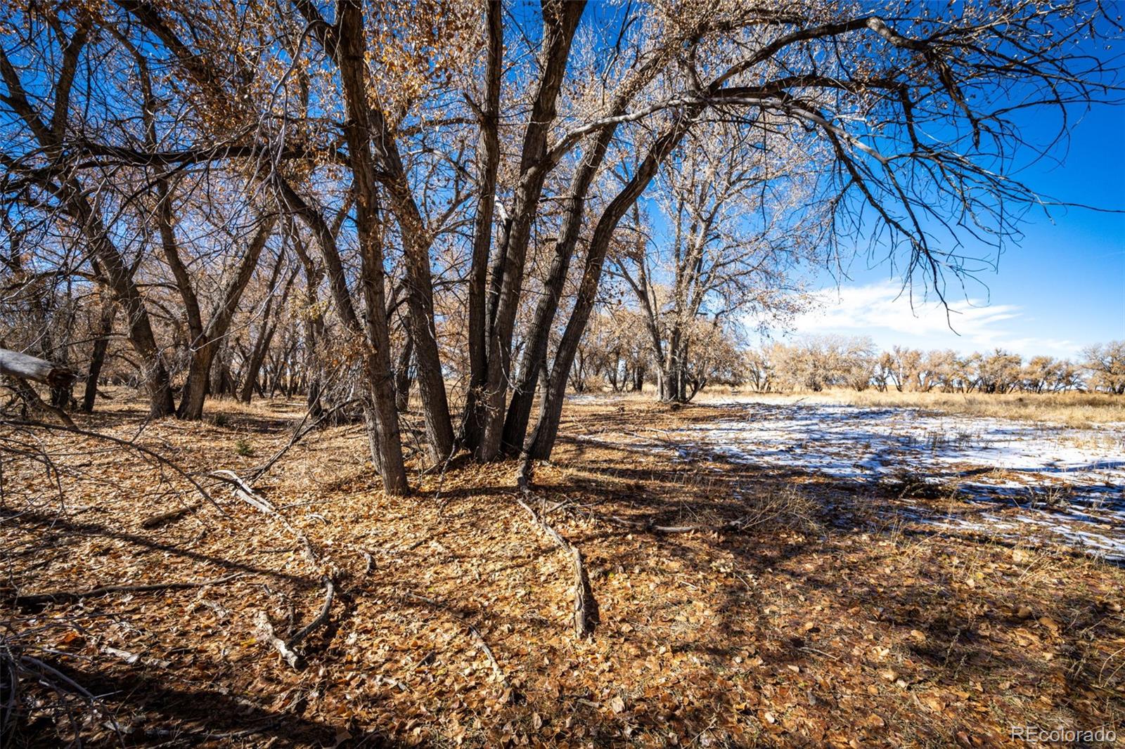 MLS Image #46 for 3150 s county road 185 ,byers, Colorado