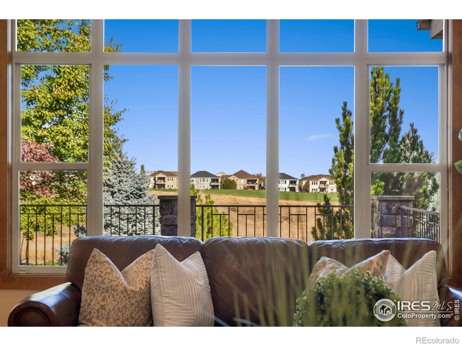 CMA Image for 7028  ruidoso drive,Windsor, Colorado