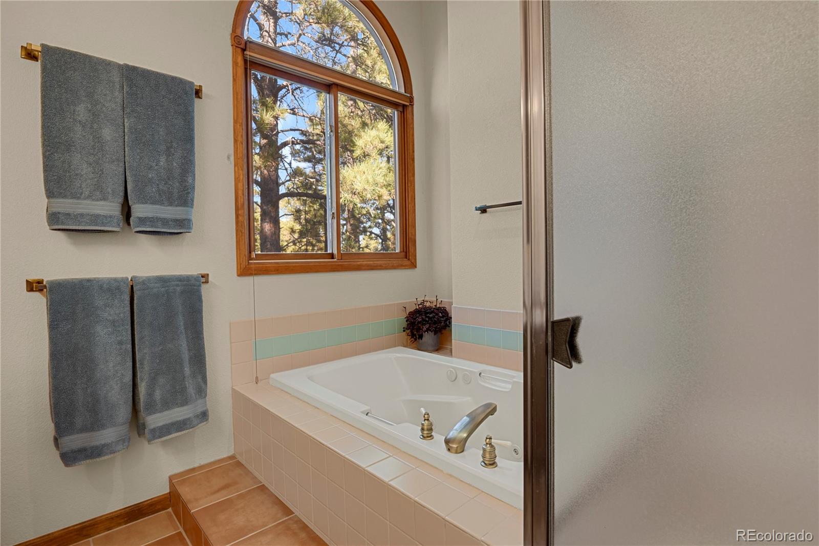 MLS Image #23 for 35877  elkridge run,elizabeth, Colorado