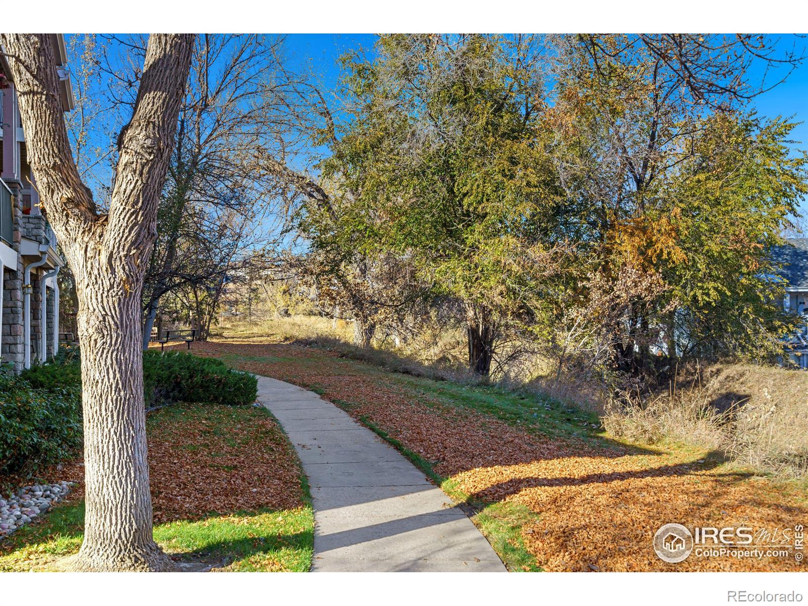 MLS Image #23 for 3945  landings drive,fort collins, Colorado