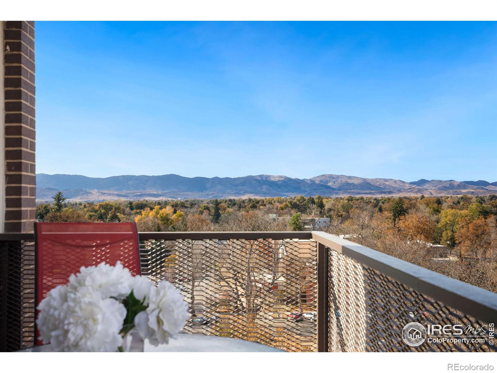 MLS Image #20 for 421 s howes street,fort collins, Colorado