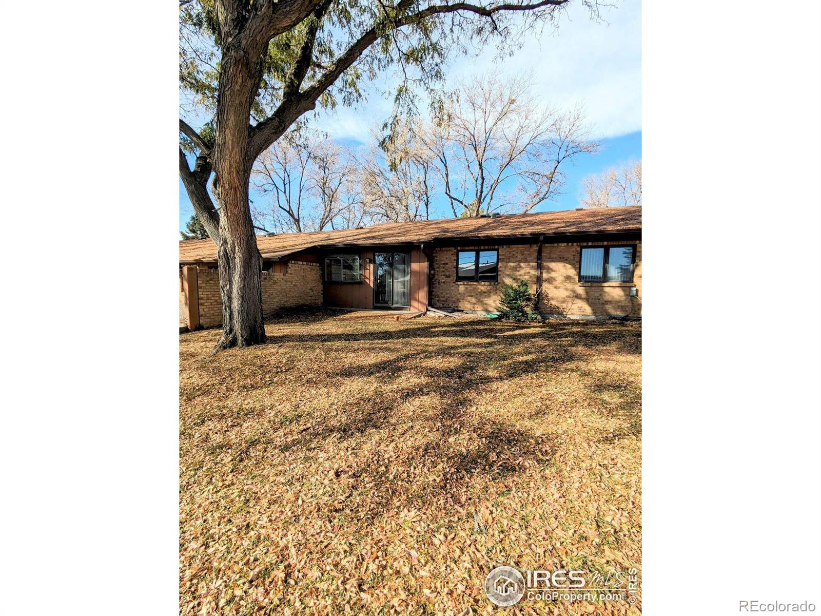 MLS Image #18 for 1100 n taft avenue,loveland, Colorado
