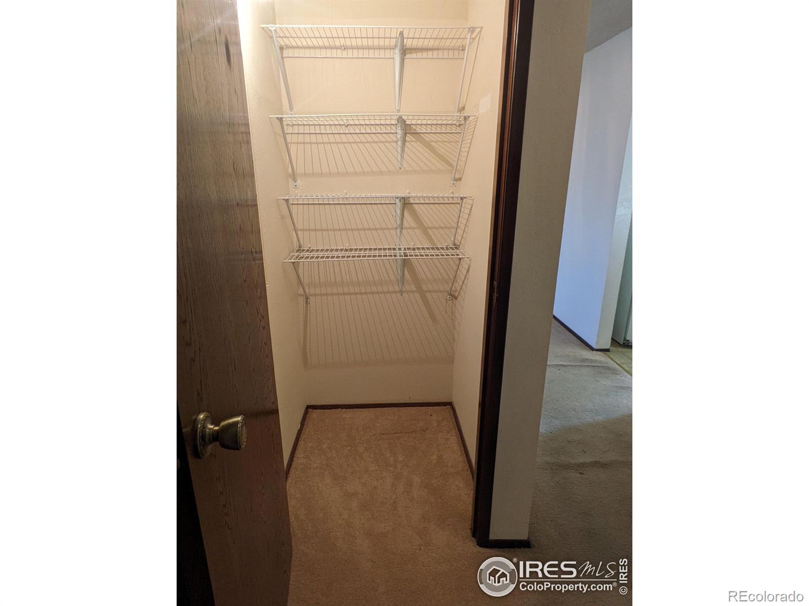 MLS Image #3 for 1100 n taft avenue,loveland, Colorado
