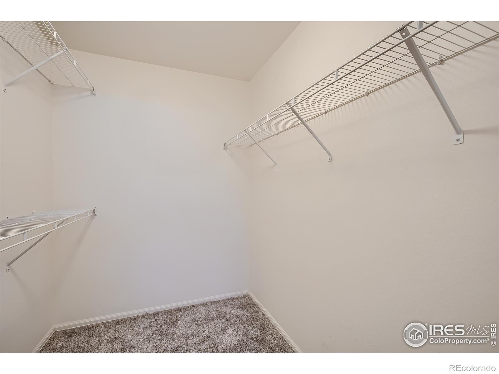 MLS Image #17 for 2512  forecastle drive,fort collins, Colorado